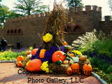 Lancaster, PA 3743_resize