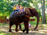 Lancaster, PA 3781_resize
