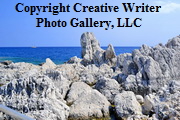 MED_4137_resize