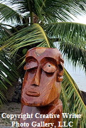 Moorea South Pacific 7937_resize